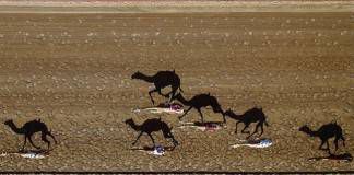 10 อันดับภาพงดงามที่สุดแห่งปี 2015