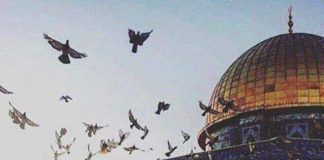 ย้อนรอย ครบรอบ 50 ปี “มัสยิดอัล-อักซอ” ถูกยิวหัวรุนแรงลอบวางเพลิง