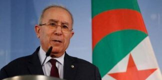 รัฐมนตรีต่างประเทศแอลจีเรีย เผย “อิสราเอลแสวงหาการขยายตัวในแอฟริกาเหนือ”